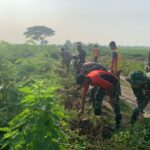 IMG-20240302-WA0019.jpg
